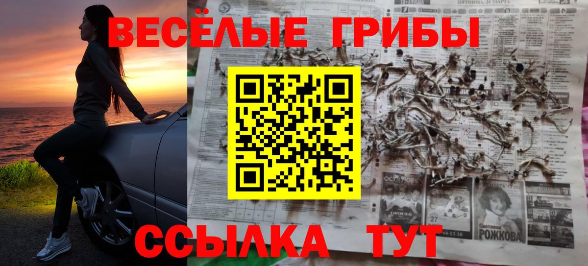 Псилоцибиновые грибы ЛСД  Вход с VPN  Жуковский 